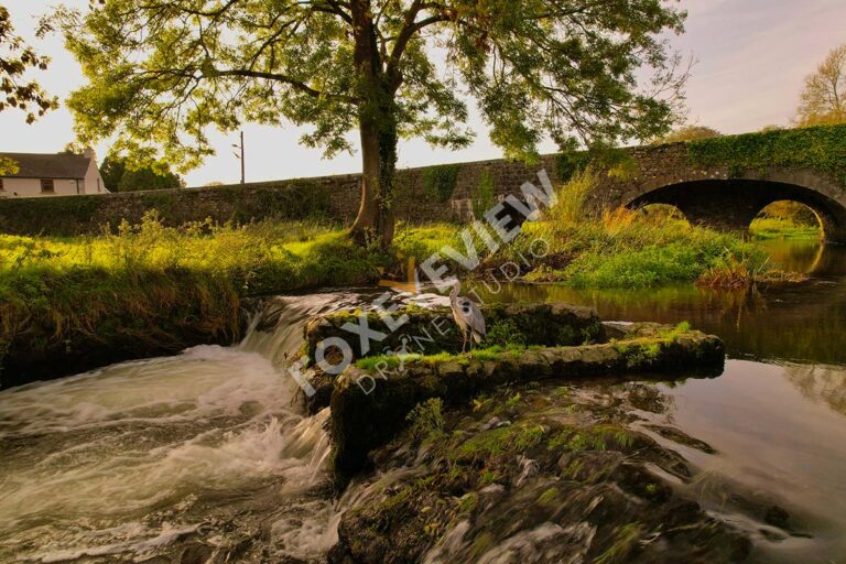 Drone Photography Kilkenny