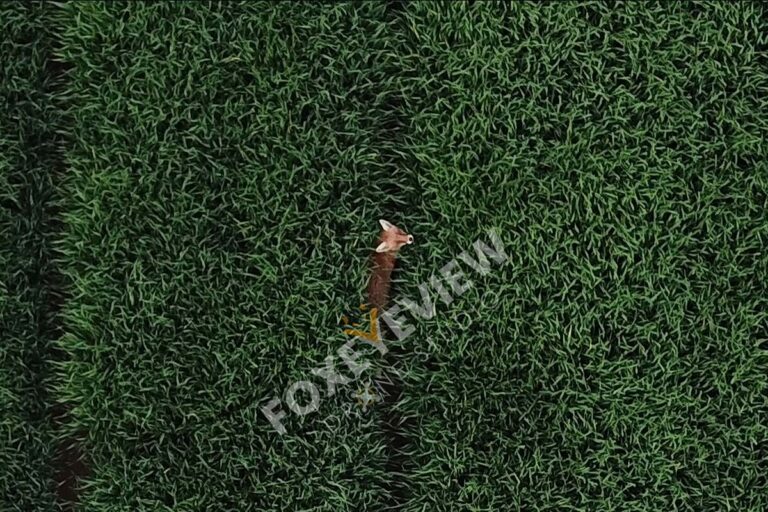 Drone Photographer in Kilkenny