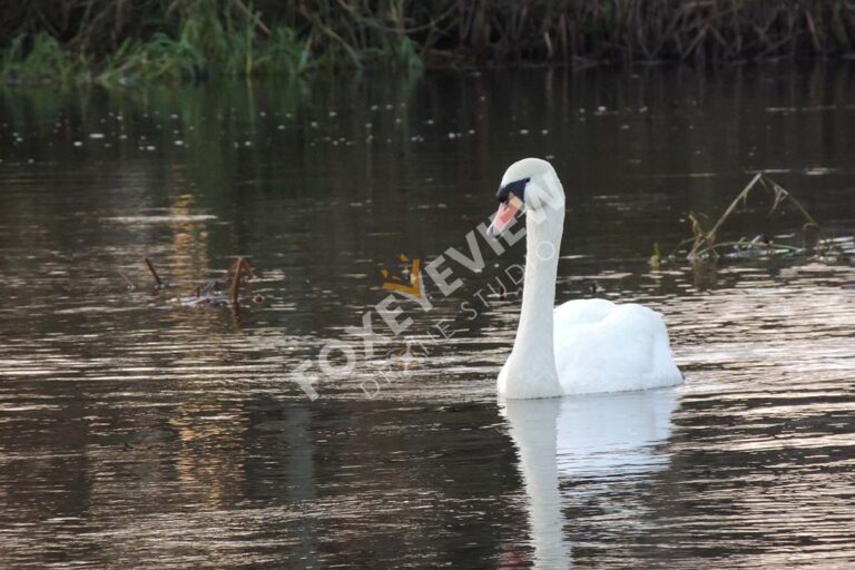 Drone Photography Kilkenny