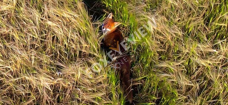 Drone Photographer in Kilkenny